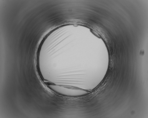 X0000097611136200803281008