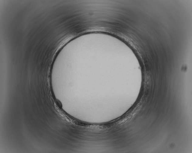 X0000097611137200803281008