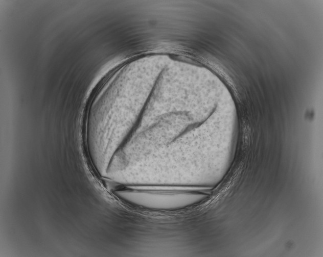 X0000097611138200803281008