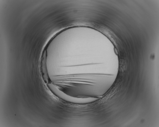 X0000097611140200803281008