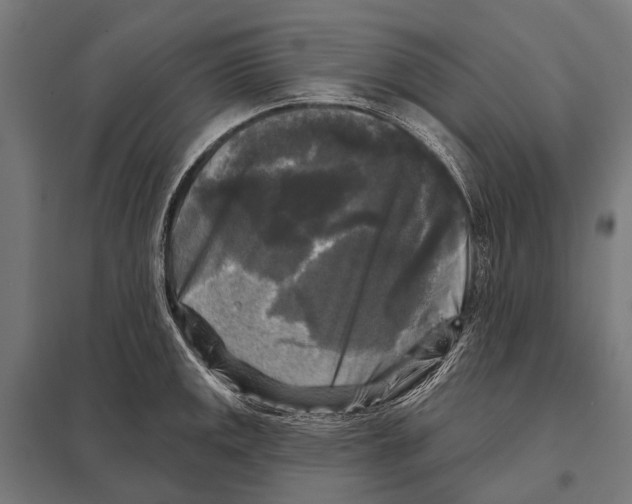 X0000097611141200803281008