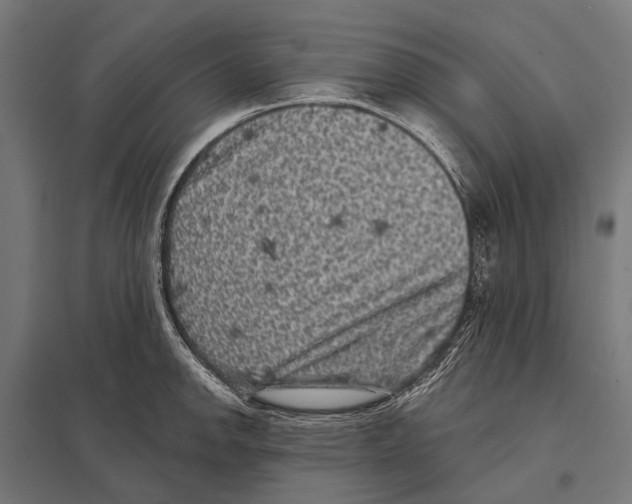 X0000097611142200803281008