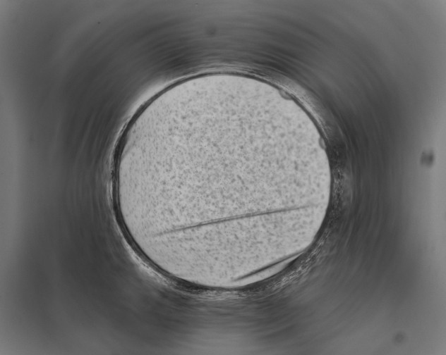 X0000097611143200803281008