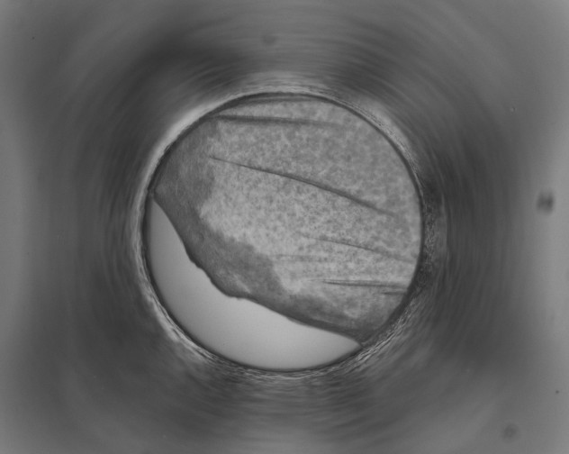 X0000097611144200803281008