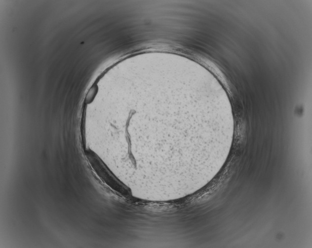 X0000097611146200803281008