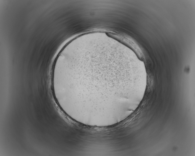 X0000097611148200803281008