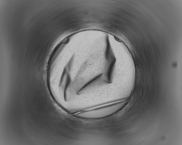 X0000097611151200803281008