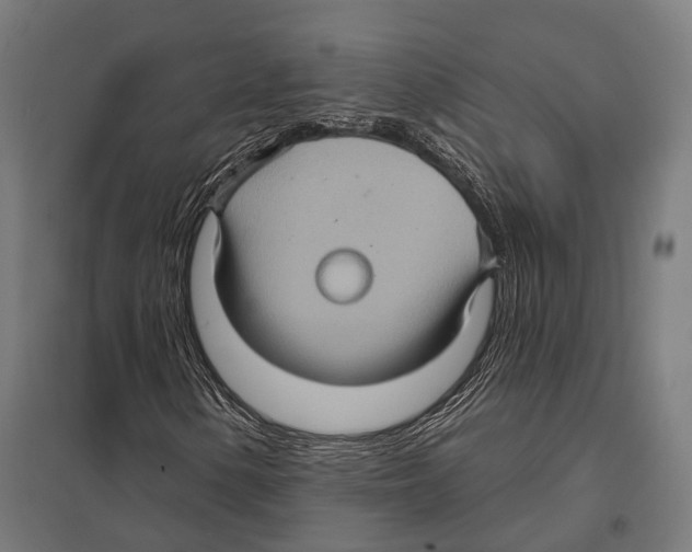 X0000097611154200803281007