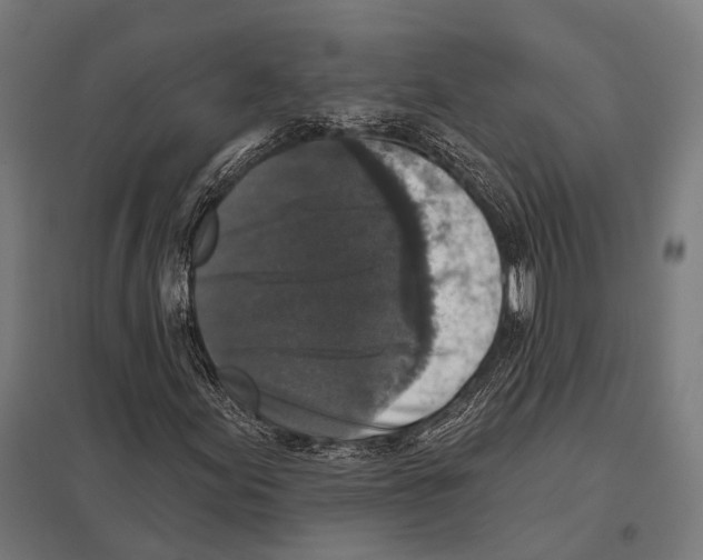 X0000097611155200803281007