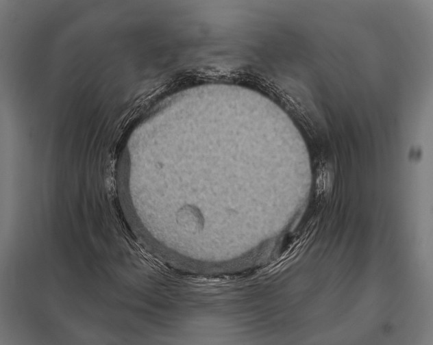 X0000097611156200803281007