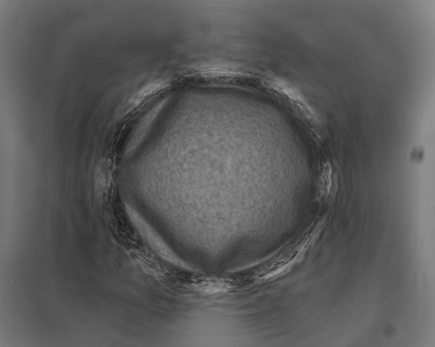 X0000097611157200803281007