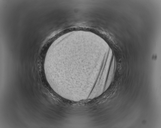 X0000097611159200803281007