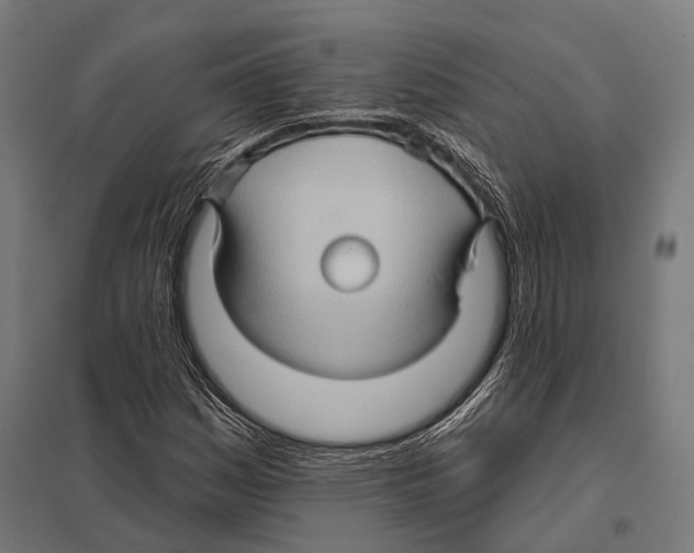 X0000097611161200803281007