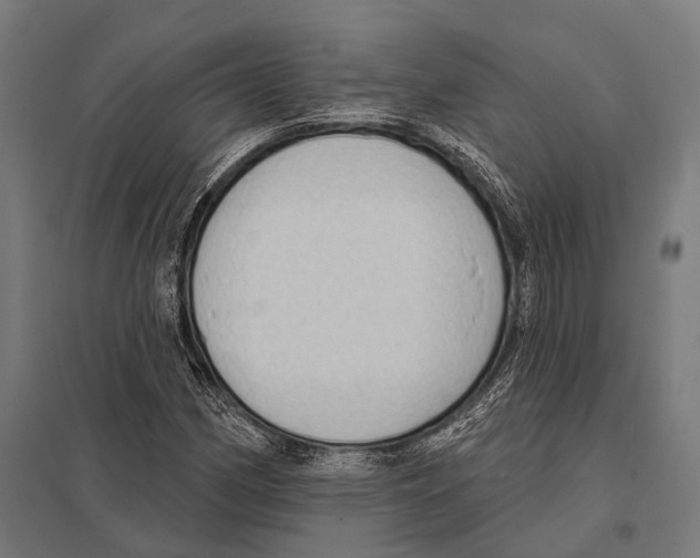 X0000097611162200803281007