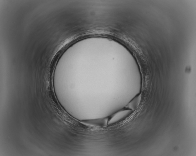 X0000097611165200803281007