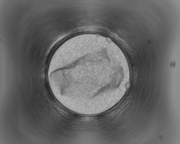 X0000097611166200803281007