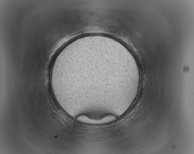 X0000097611167200803281007