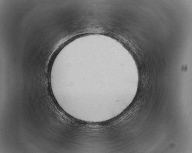 X0000097611168200803281007