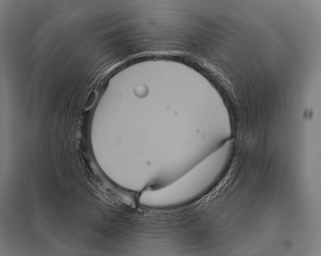 X0000097611169200803281007