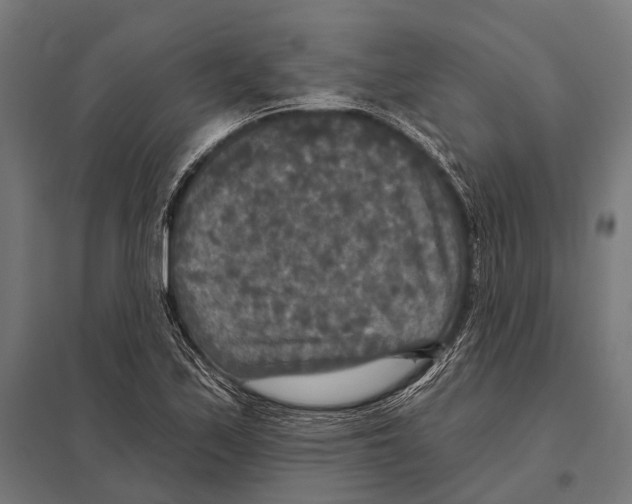 X0000097611171200803281007