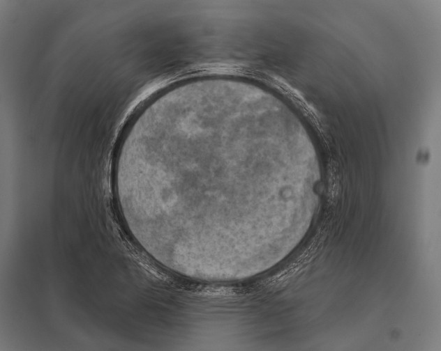 X0000097611174200803281007