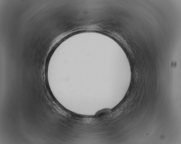 X0000097611176200803281007