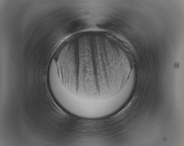 X0000097611177200803281007