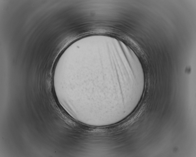 X0000097611178200803281007