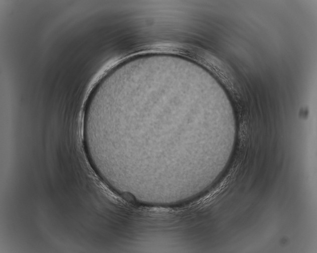 X0000097611180200803281007