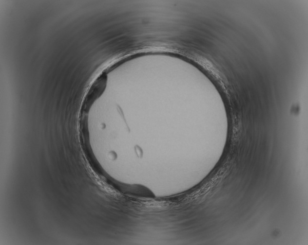 X0000097611181200803281007