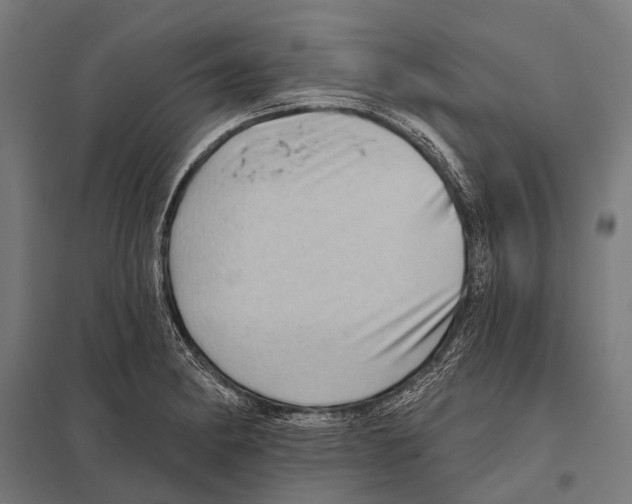 X0000097611182200803281007