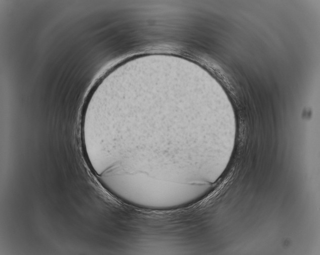 X0000097611184200803281007