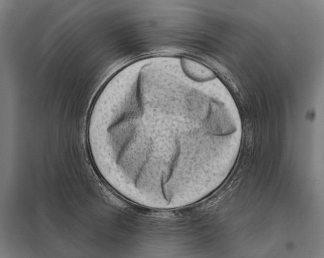 X0000097611186200803281007