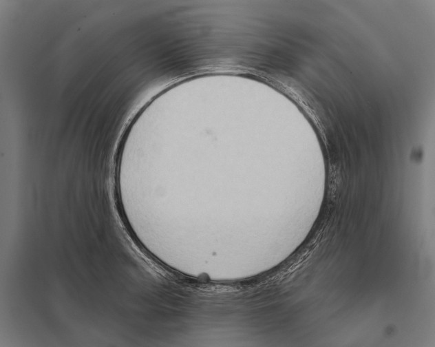 X0000097611187200803281007