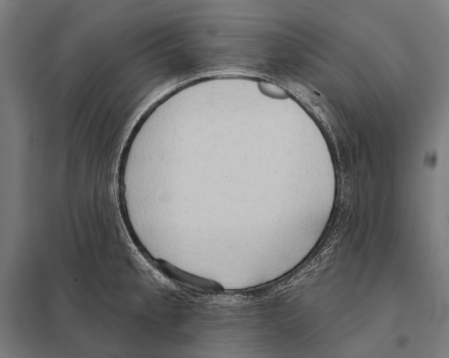 X0000097611189200803281007