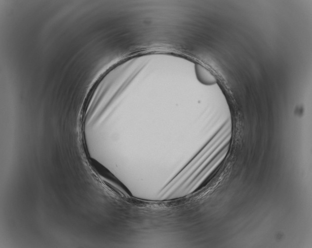 X0000097611190200803281007