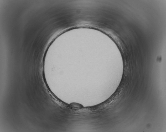 X0000097611191200803281007