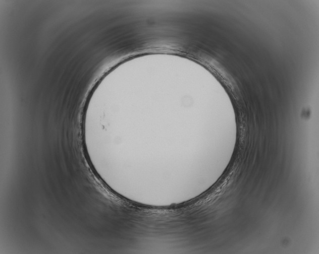 X0000097611192200803281007