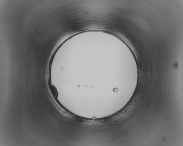 X0000097611195200803281006