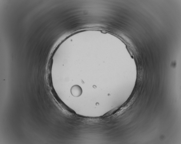 X0000097611196200803281006