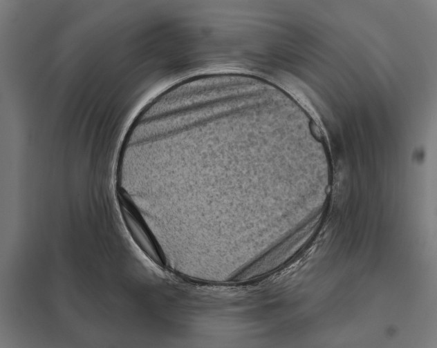 X0000097611197200803281006