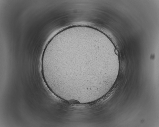 X0000097611199200803281006