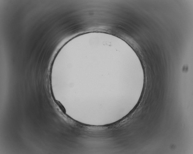 X0000097611200200803281006