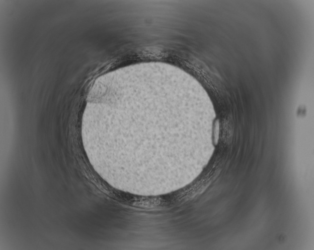 X0000097611201200803281006