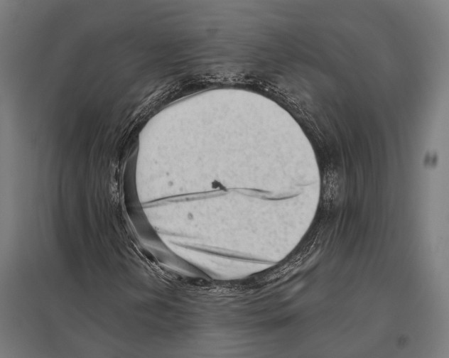 X0000097611202200803281006