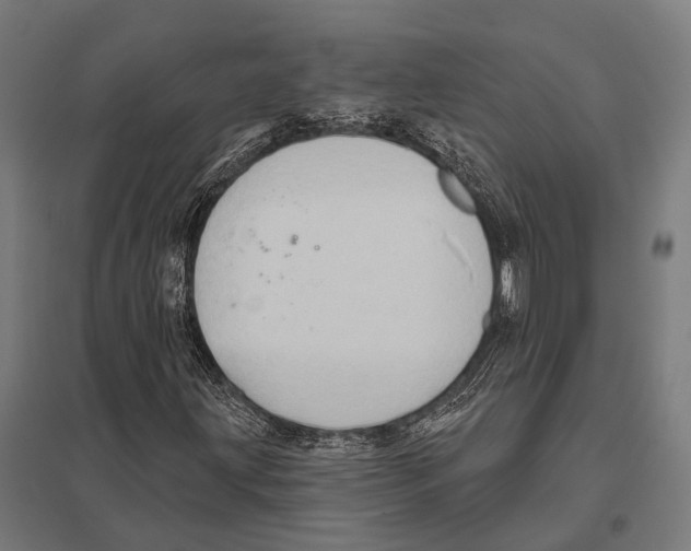 X0000097611203200803281006