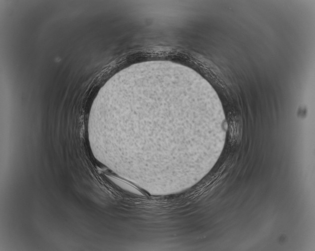 X0000097611204200803281006