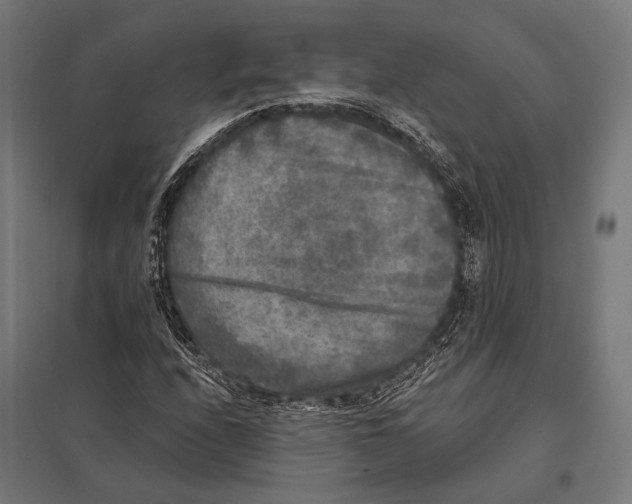 X0000097611208200803281006