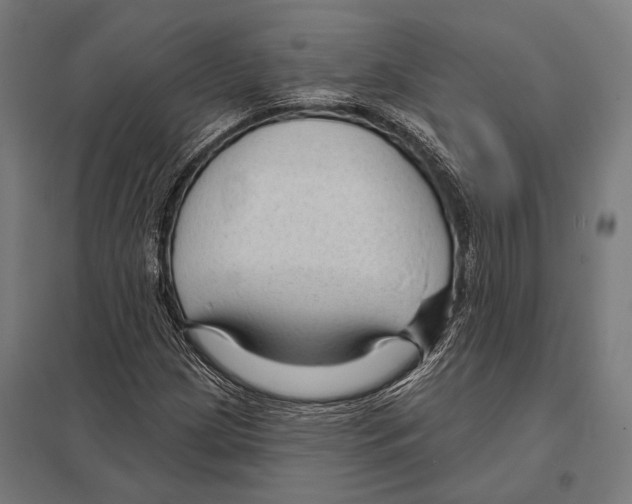 X0000097611209200803281006