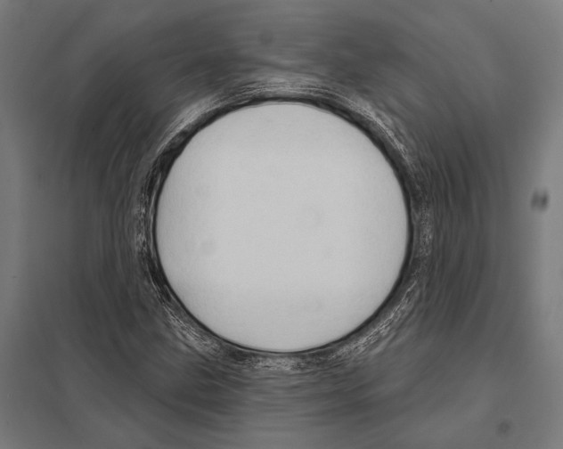 X0000097611211200803281006